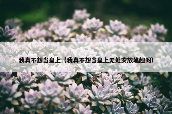 我真不想当皇上（我真不想当皇上无处安放笔趣阁）