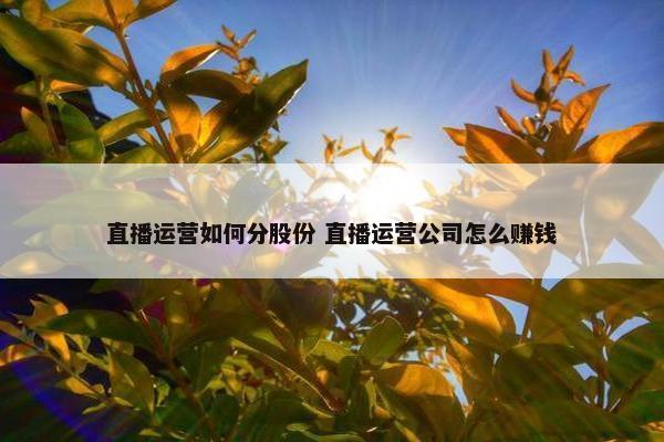 直播运营如何分股份 直播运营公司怎么赚钱