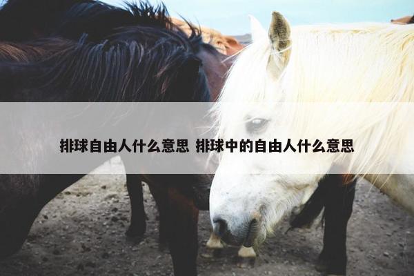 排球自由人什么意思 排球中的自由人什么意思