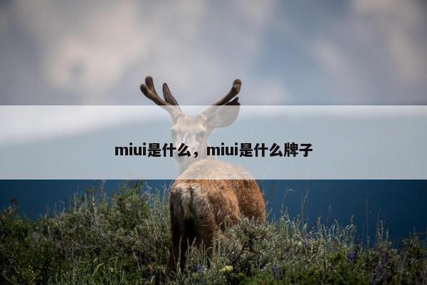 miui是什么，miui是什么牌子