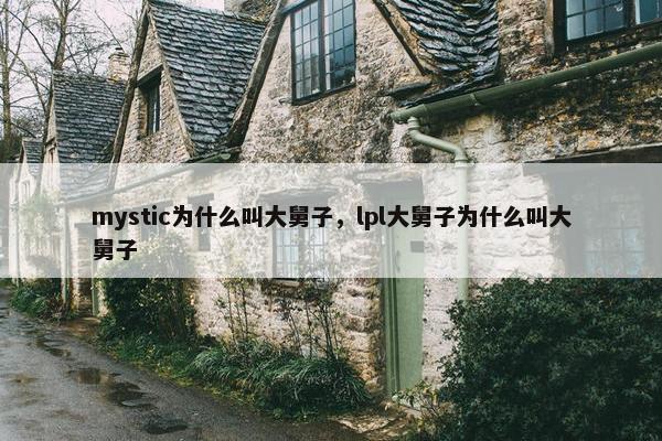 mystic为什么叫大舅子，lpl大舅子为什么叫大舅子