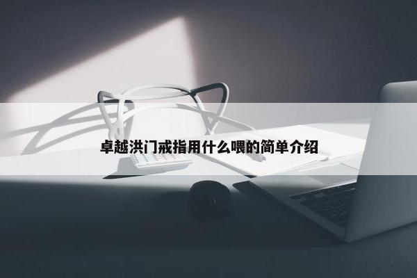 卓越洪门戒指用什么喂的简单介绍