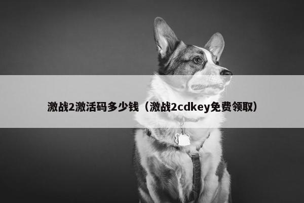 激战2激活码多少钱（激战2cdkey免费领取）