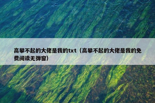 高攀不起的大佬是我的txt（高攀不起的大佬是我的免费阅读无弹窗）