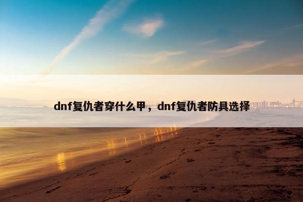 dnf复仇者穿什么甲，dnf复仇者防具选择