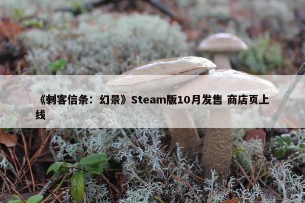 《刺客信条：幻景》Steam版10月发售 商店页上线