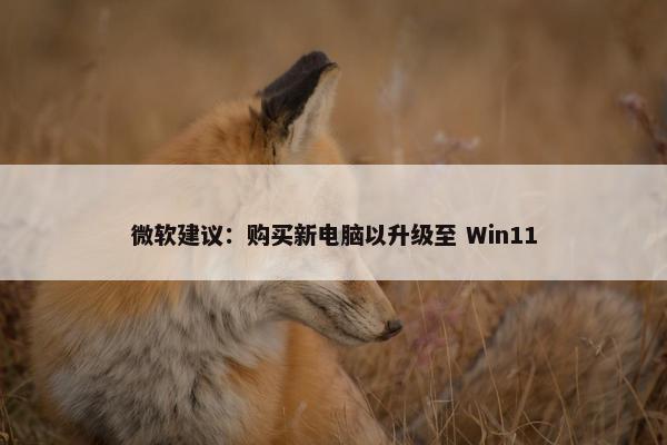 微软建议：购买新电脑以升级至 Win11