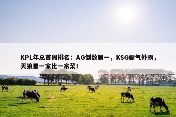 KPL年总首周排名：AG倒数第一，KSG霸气外露，天狼星一家比一家菜！