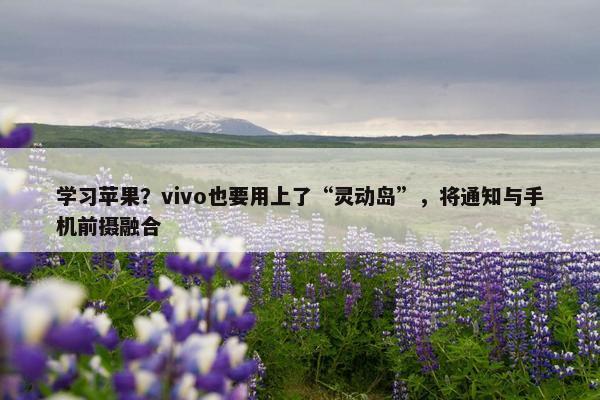 学习苹果？vivo也要用上了“灵动岛”，将通知与手机前摄融合