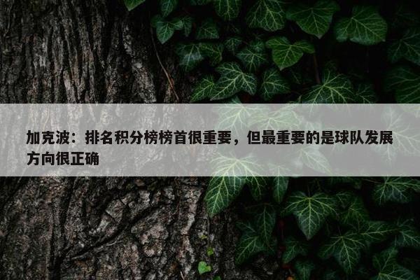 加克波：排名积分榜榜首很重要，但最重要的是球队发展方向很正确