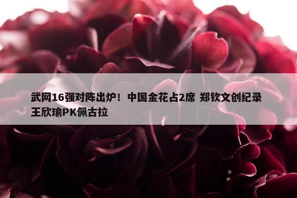 武网16强对阵出炉！中国金花占2席 郑钦文创纪录 王欣瑜PK佩古拉