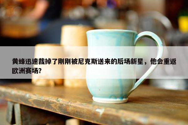 黄蜂迅速裁掉了刚刚被尼克斯送来的后场新星，他会重返欧洲赛场？