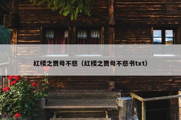 红楼之贾母不慈（红楼之贾母不慈书txt）