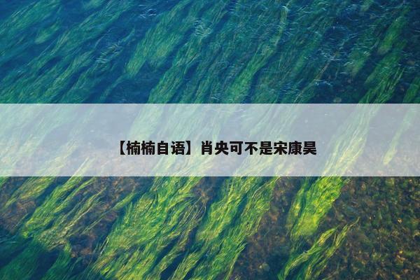 【楠楠自语】肖央可不是宋康昊