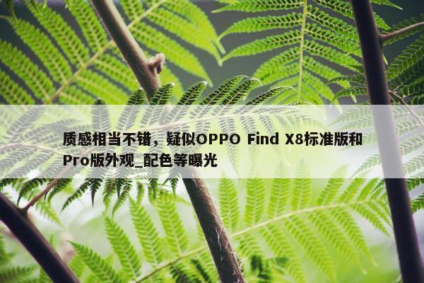 质感相当不错，疑似OPPO Find X8标准版和Pro版外观_配色等曝光