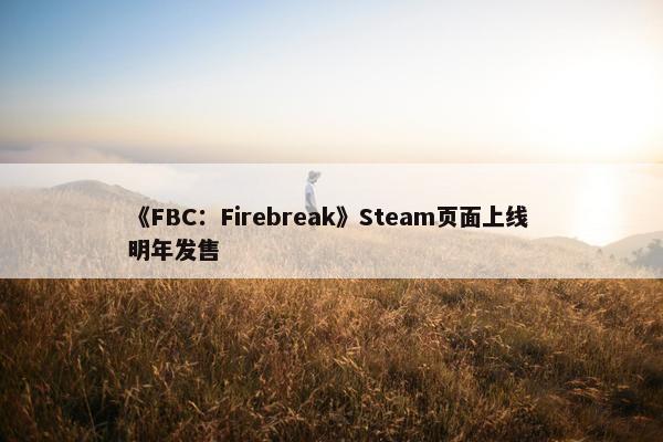 《FBC：Firebreak》Steam页面上线 明年发售