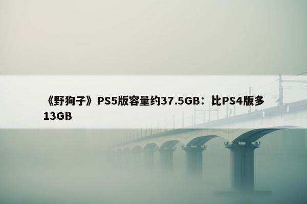 《野狗子》PS5版容量约37.5GB：比PS4版多13GB