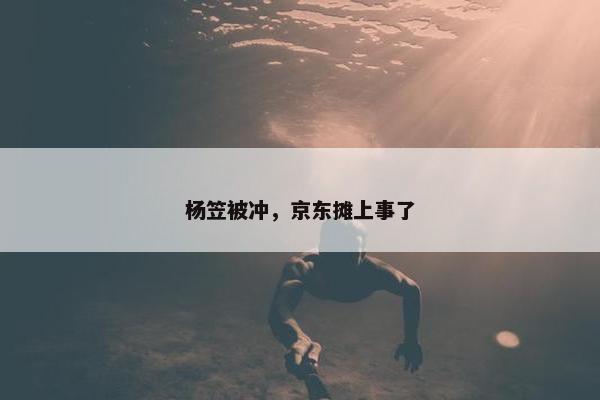 杨笠被冲，京东摊上事了