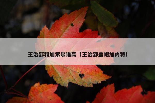 王治郅和加索尔谁高（王治郅盖帽加内特）