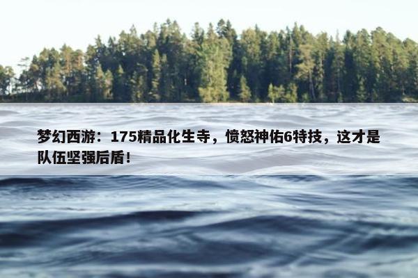 梦幻西游：175精品化生寺，愤怒神佑6特技，这才是队伍坚强后盾！