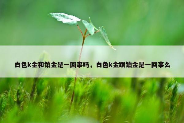 白色k金和铂金是一回事吗，白色k金跟铂金是一回事么