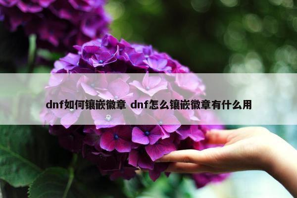 dnf如何镶嵌徽章 dnf怎么镶嵌徽章有什么用