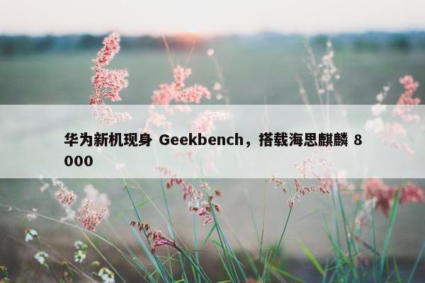 华为新机现身 Geekbench，搭载海思麒麟 8000